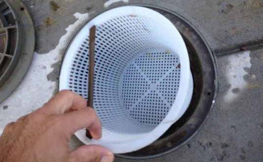 A hand lifting a pool skimmer basket